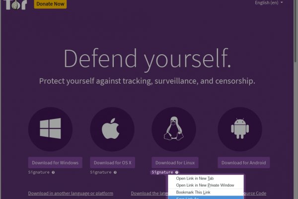 Omg omg официальная ссылка на тор